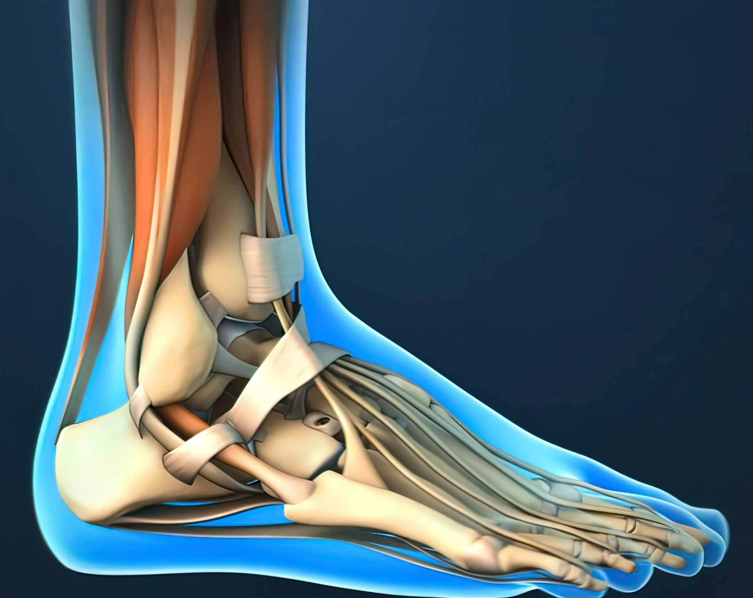 Physiotherapy Benefits after Ankle ORIF Surgery - Brisbane