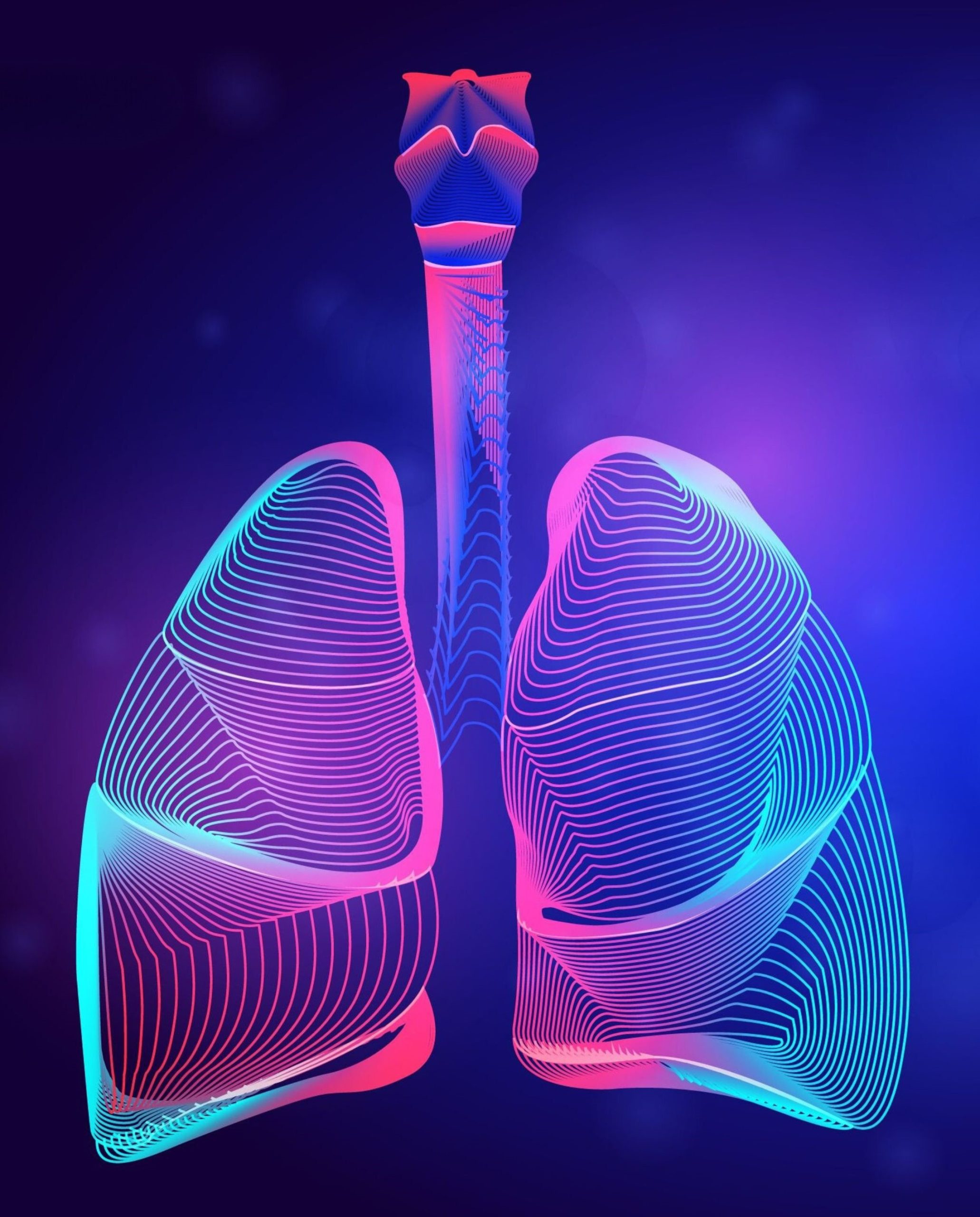 the-respiratory-system-leximed